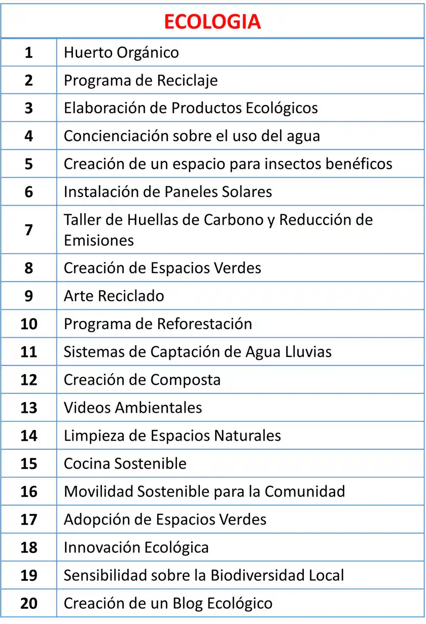 imagen13